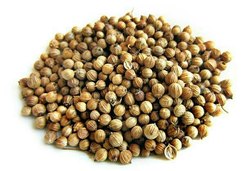 CORIANDER SABAT - DHANYA- 250 GM