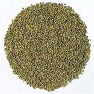 BAJRA 1 KG