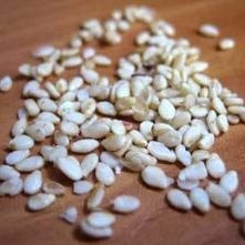 TILL WHITE 100 GM